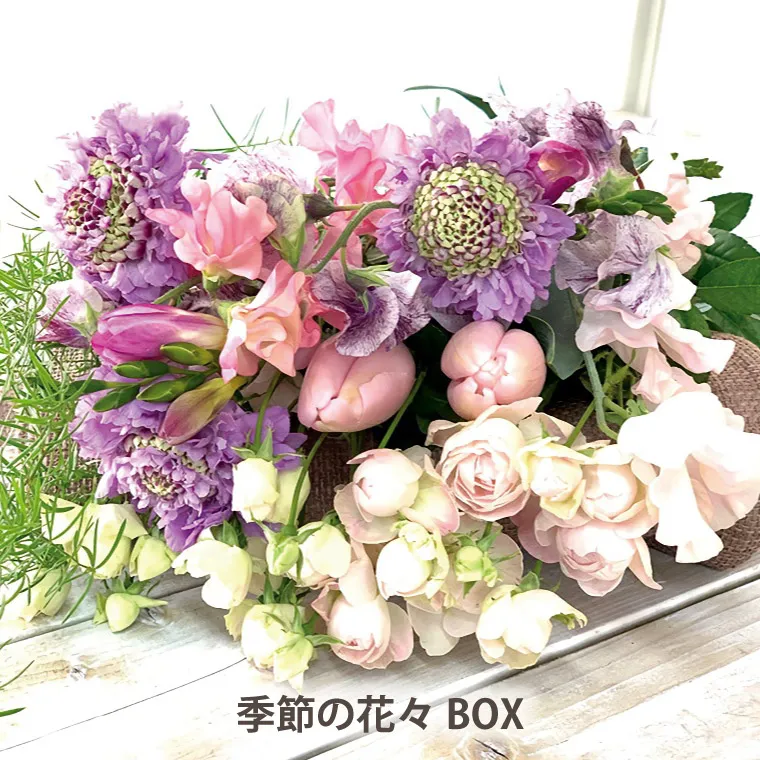 花々BOX・Bコース