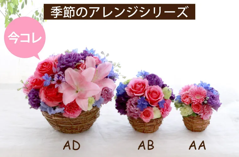 赤花時計草のアレンジメント 【展示会作品】 季節のフラワーアレンジメント AD・Lサイズ 』 生花｜横浜花