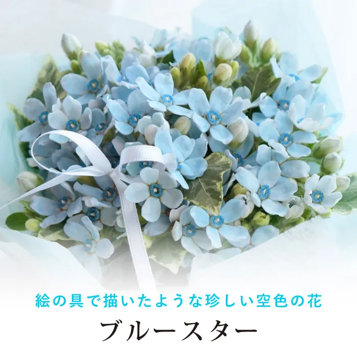 ブルースターのフラワーアレンジメント』 生花 | 横浜花まりか