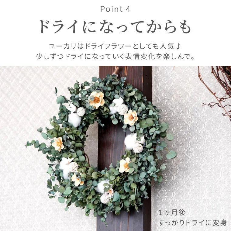 ユーカリとセンニチコウのリース | ドライフラワー専門店