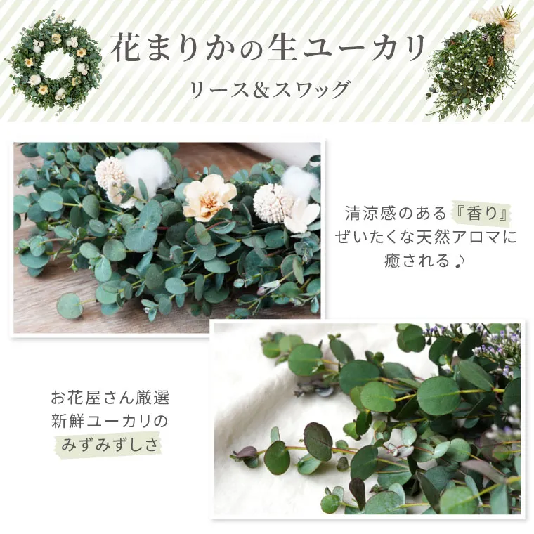 ユーカリスワッグ・生 50cm』 フレッシュ｜横浜花まりか フラワーギフト店