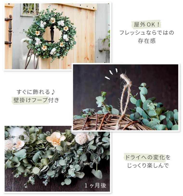 ユーカリスワッグ・生 50cm』 フレッシュ｜横浜花まりか フラワーギフト店
