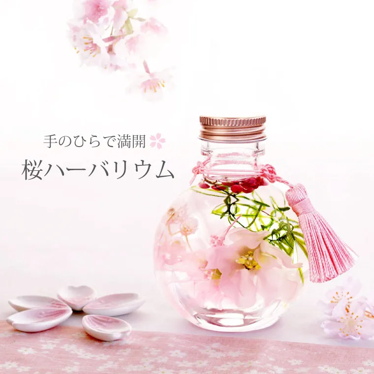 桜 ハーバリウム・Sサイズ』 | 横浜花まりか フラワーギフト店