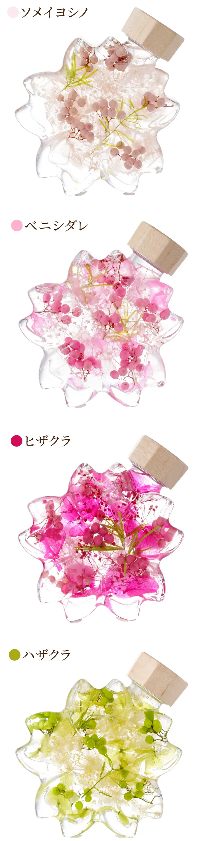 サクラノカタチ 桜ハーバリウム』｜横浜花まりか フラワーギフト店