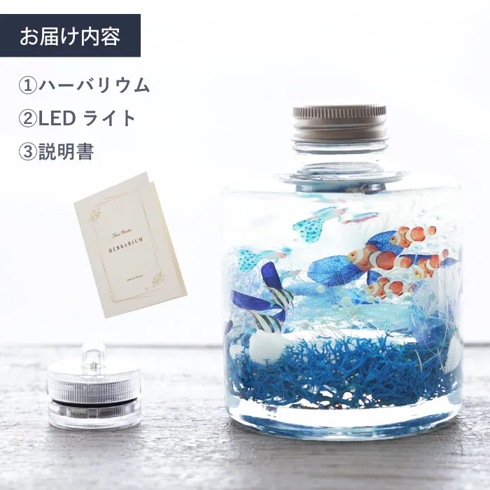 熱帯魚アクアリウム』 ハーバリウム | 横浜花まりか フラワーギフト店