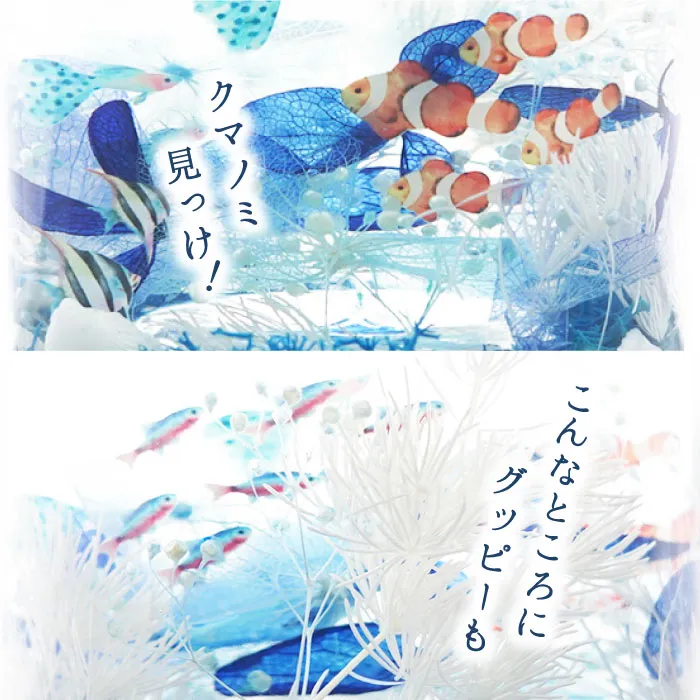 熱帯魚アクアリウム』 ハーバリウム｜横浜花まりか フラワーギフト店