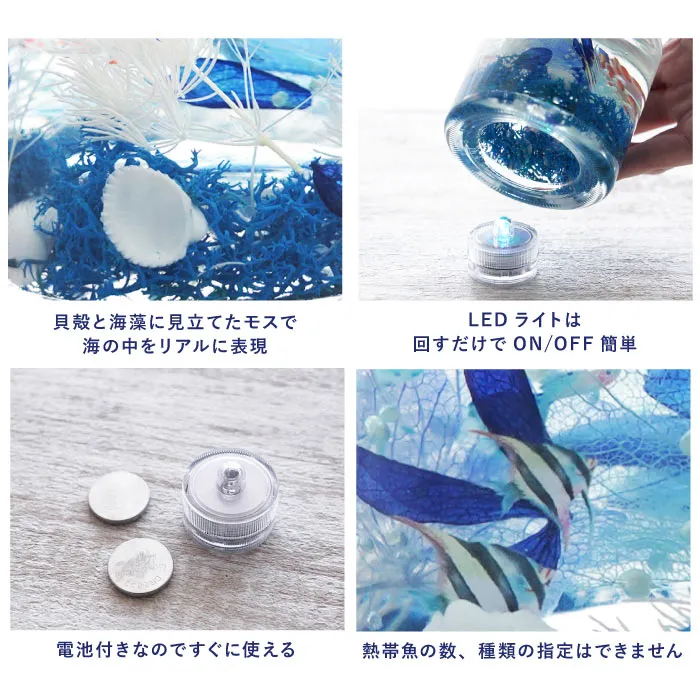 熱帯魚アクアリウム』 ハーバリウム｜横浜花まりか フラワーギフト店