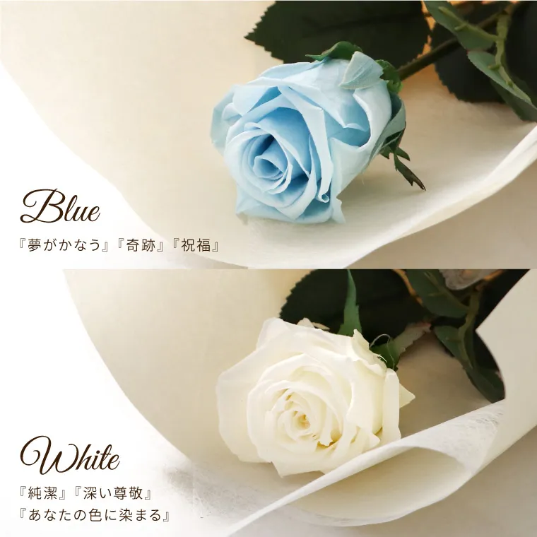 カップ薔薇予約分 カップ薔薇予約分 カップ薔薇予約分 楽天市場】バラ（カラーピンク