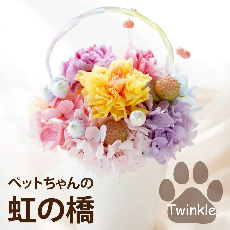ペットちゃんの虹の橋 Twinkle トゥインクル』 お供え プリザーブド 
