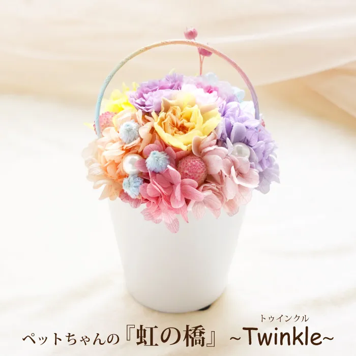 ペットちゃんの虹の橋 Twinkle トゥインクル』 お供え プリザーブド