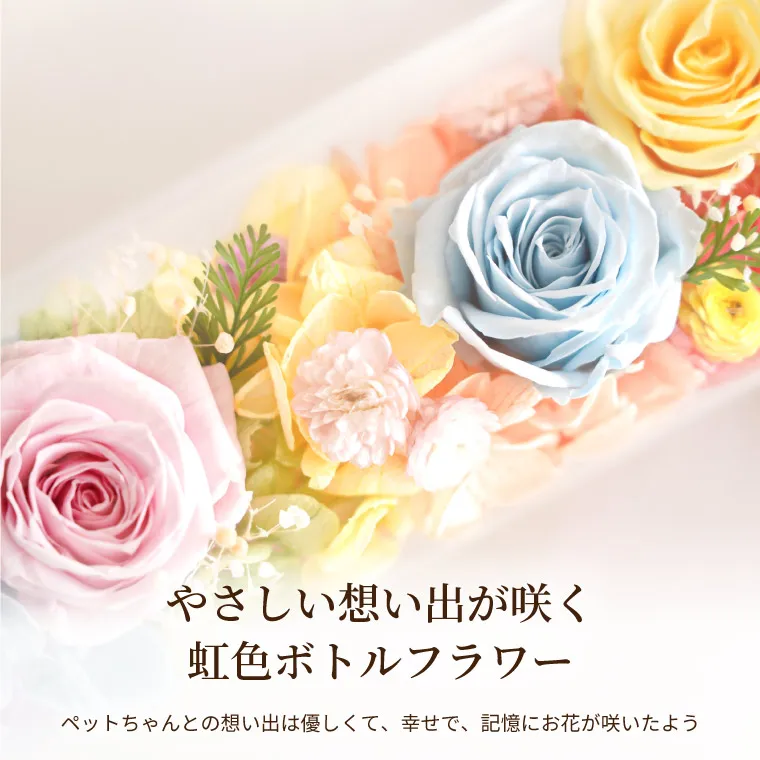 ペットちゃんの虹の橋・想い出ボトル』お供え プリザーブドフラワー