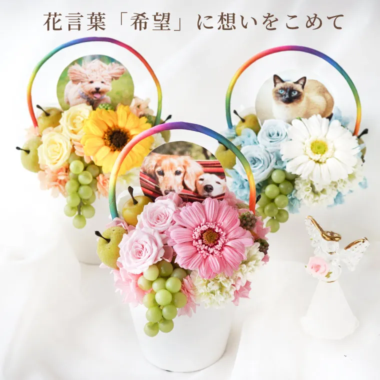 ○オリジナル○ブリザーブドフラワーの花びらでできたペット ○オリジナル○ブリザーブドフラワーの花びらでできたペット