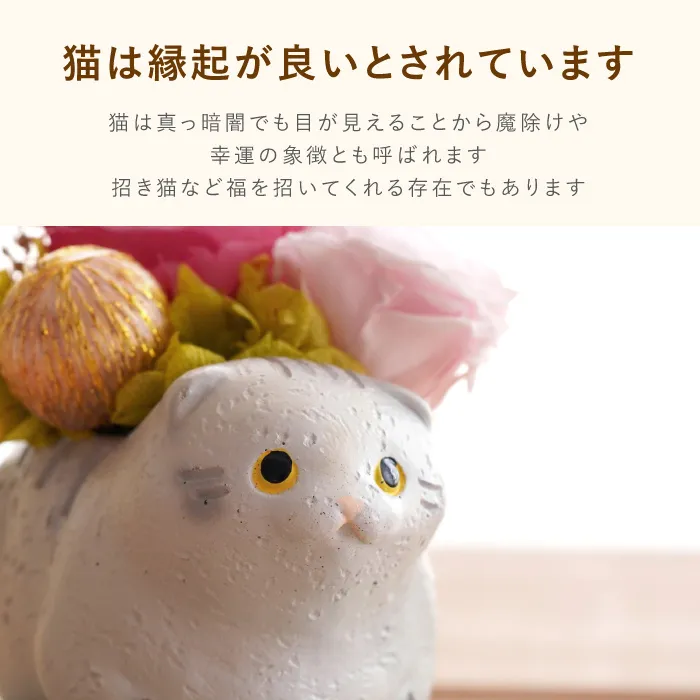 のんびり花にゃんこ』 プリザーブドフラワー｜横浜花まりか フラワー