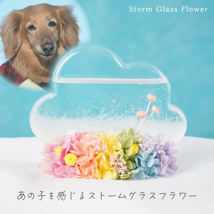 ペットちゃんの虹の橋ストームグラス -雲-』 お供え プリザーブド