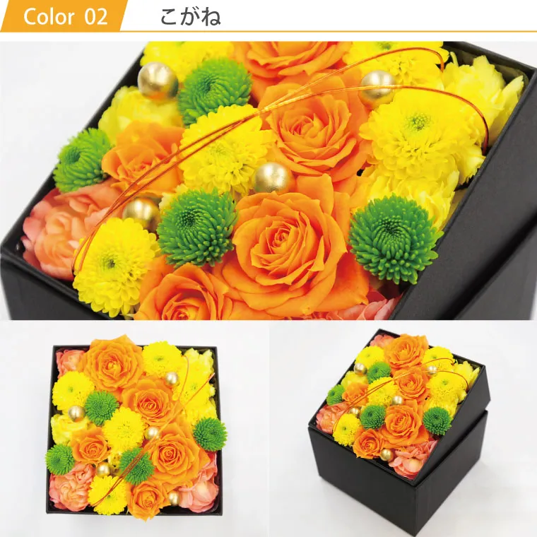 はなはなさま専用フォロー割引 ヤマダモール | Aoakua 鍵付きBOX ( 募金箱 応募箱 投票箱 投函