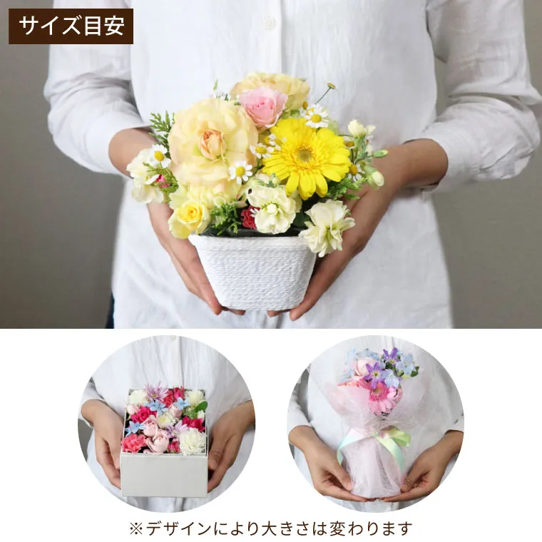 毎月お届け】『ペットちゃんの虹の橋 定期便 ふわふわコース 12