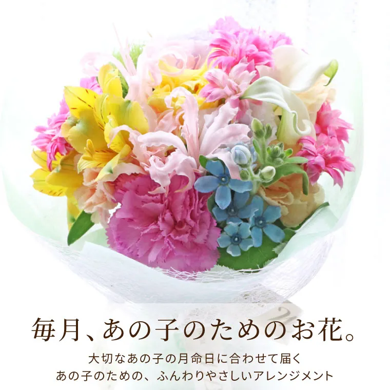 スーちゃん お花のおうち スーパーゼラニウムチャンピオン ロージー 6号鉢に植え替えまし