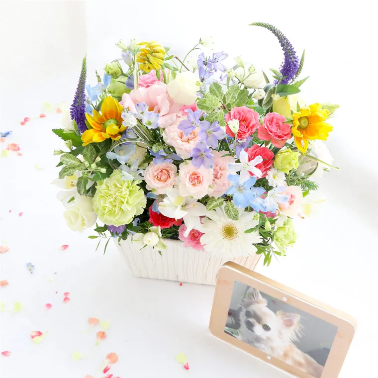 【専用ページ】みるの優羽さん用花束 ペットちゃんの虹の橋アーチフラワーとお線香&ろうそくセット