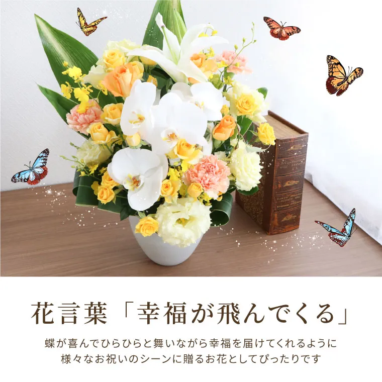 みゆた 胡蝶蘭 フラワーアレンジメント 花瓶不要】胡蝶蘭入り 季節のお花アレンジメント