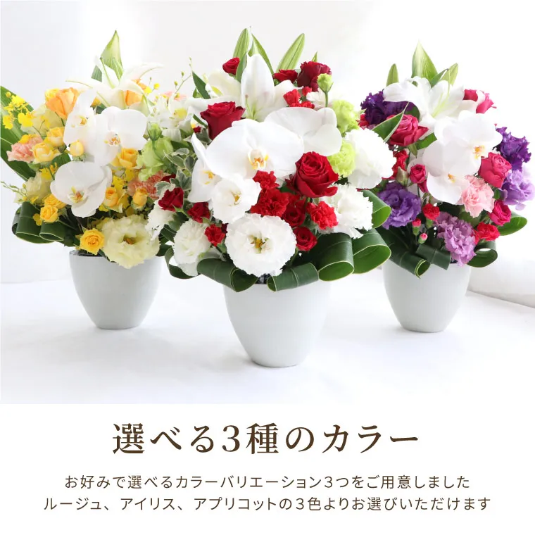 胡蝶蘭のセレブレートアレンジメント』 生花｜横浜花まりか