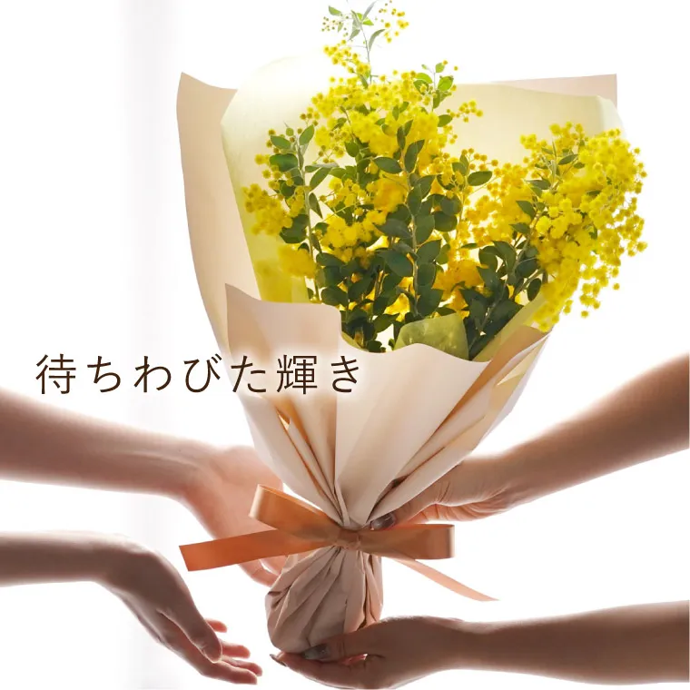 日*0様 最終値下げ○Bouquet de muguet○ミモザカバーリング(大 日
