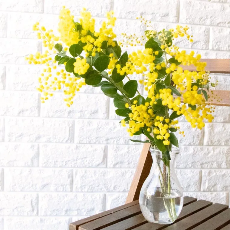 エターナルブーケ ～春限定ミモザ～』 生花 | 横浜花まりか フラワー