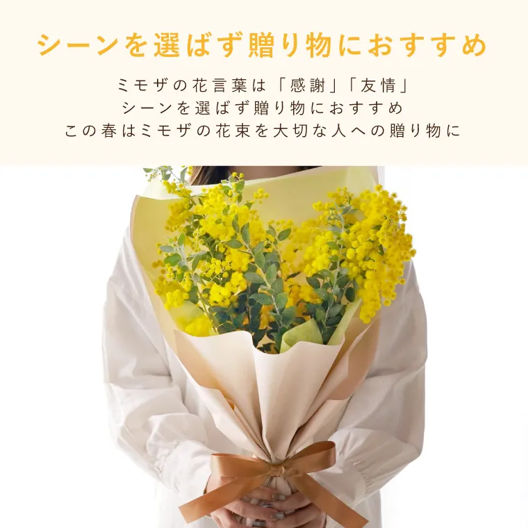 エターナルブーケ ～春限定ミモザ～』 生花 | 横浜花まりか フラワー