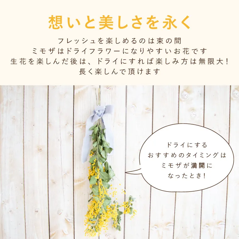 エターナルブーケ ～春限定ミモザ～』 生花 | 横浜花まりか