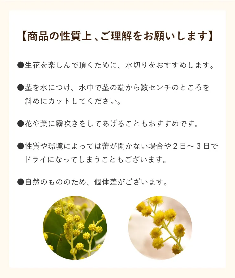 エターナルブーケ ～春限定ミモザ～』 生花 | 横浜花まりか