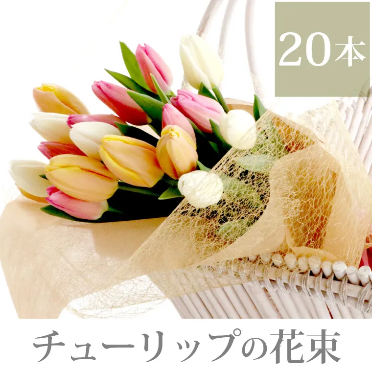 チューリップの花束 ・20本』 生花 | 横浜花まりか フラワーギフト店