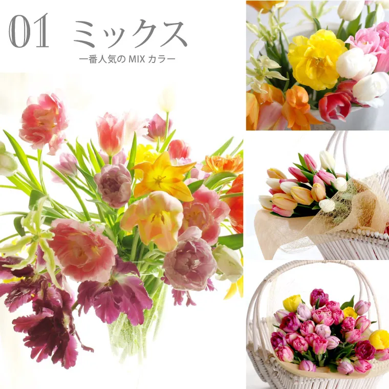 チューリップの花束 ・20本』 生花 | 横浜花まりか フラワーギフト店