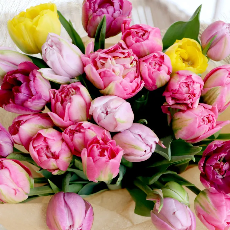 チューリップの花束 ・50本』 生花 | 横浜花まりか フラワーギフト店