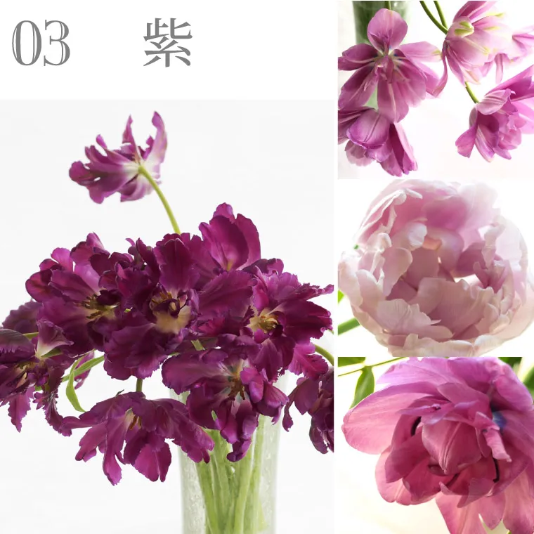 チューリップの花束 ・50本』 生花 | 横浜花まりか フラワーギフト店