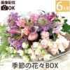 定期便 花々BOX 6回・Sサイズ Bコース 生花