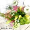 定期便 花々BOX 6回・Sサイズ Bコース 生花