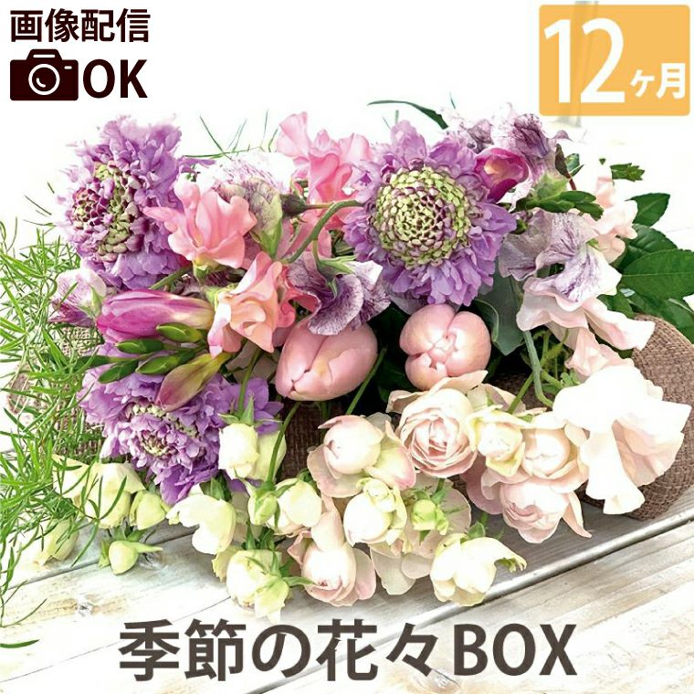 定期便 花々BOX 12回・Sサイズ Bコース 生花