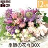 定期便 花々BOX 12回・Sサイズ Bコース 生花