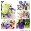 定期便 花々BOX 12回・Sサイズ Bコース 生花