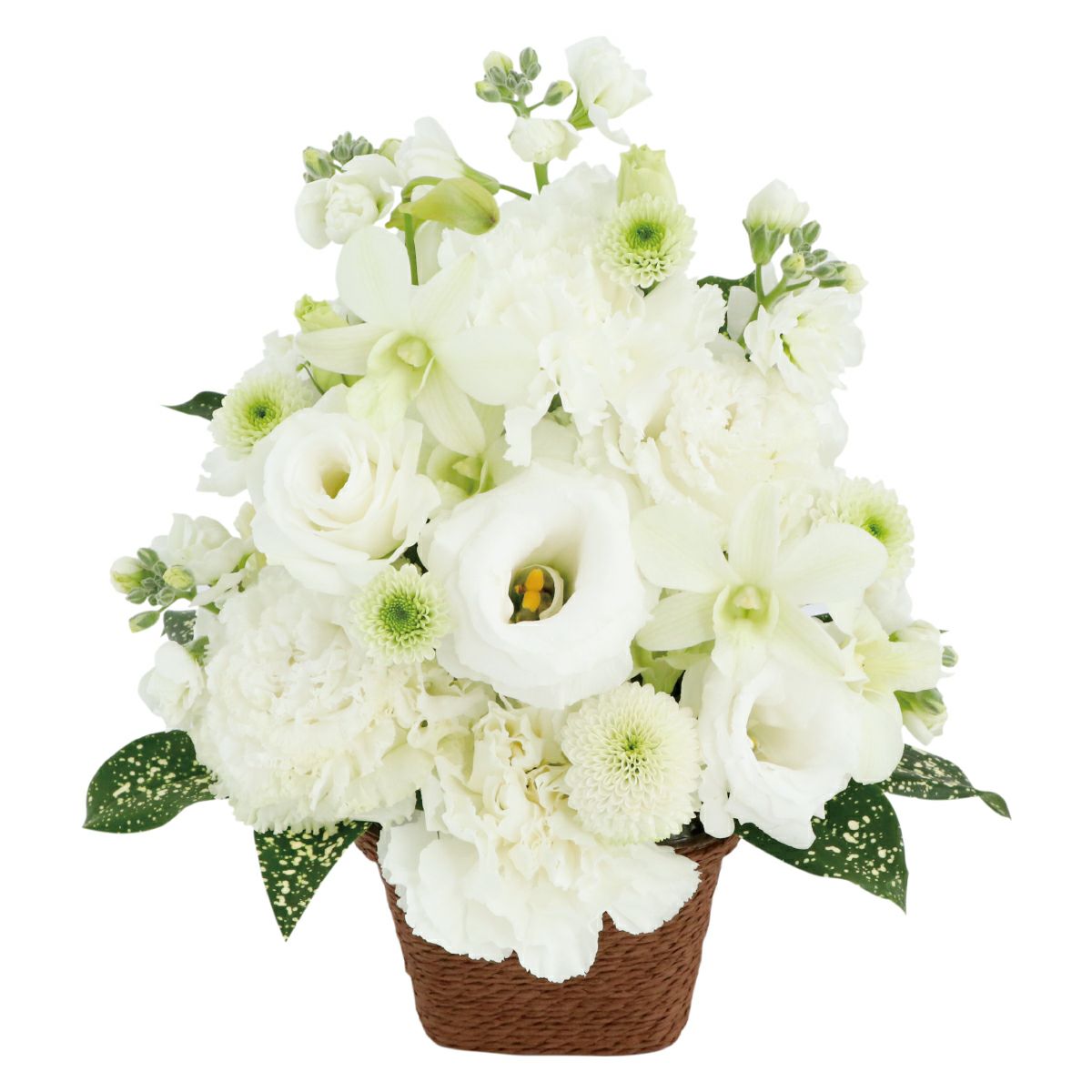 選べる アレンジ or 花束・AA  お供え 生花