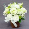 選べる アレンジ or 花束・AA  お供え 生花