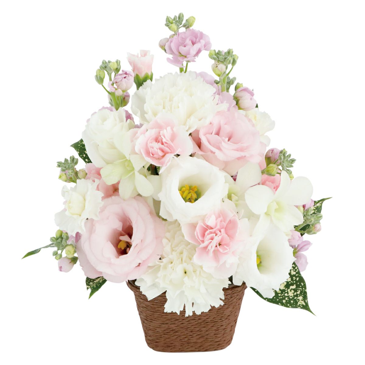 選べる アレンジ or 花束・AA  お供え 生花