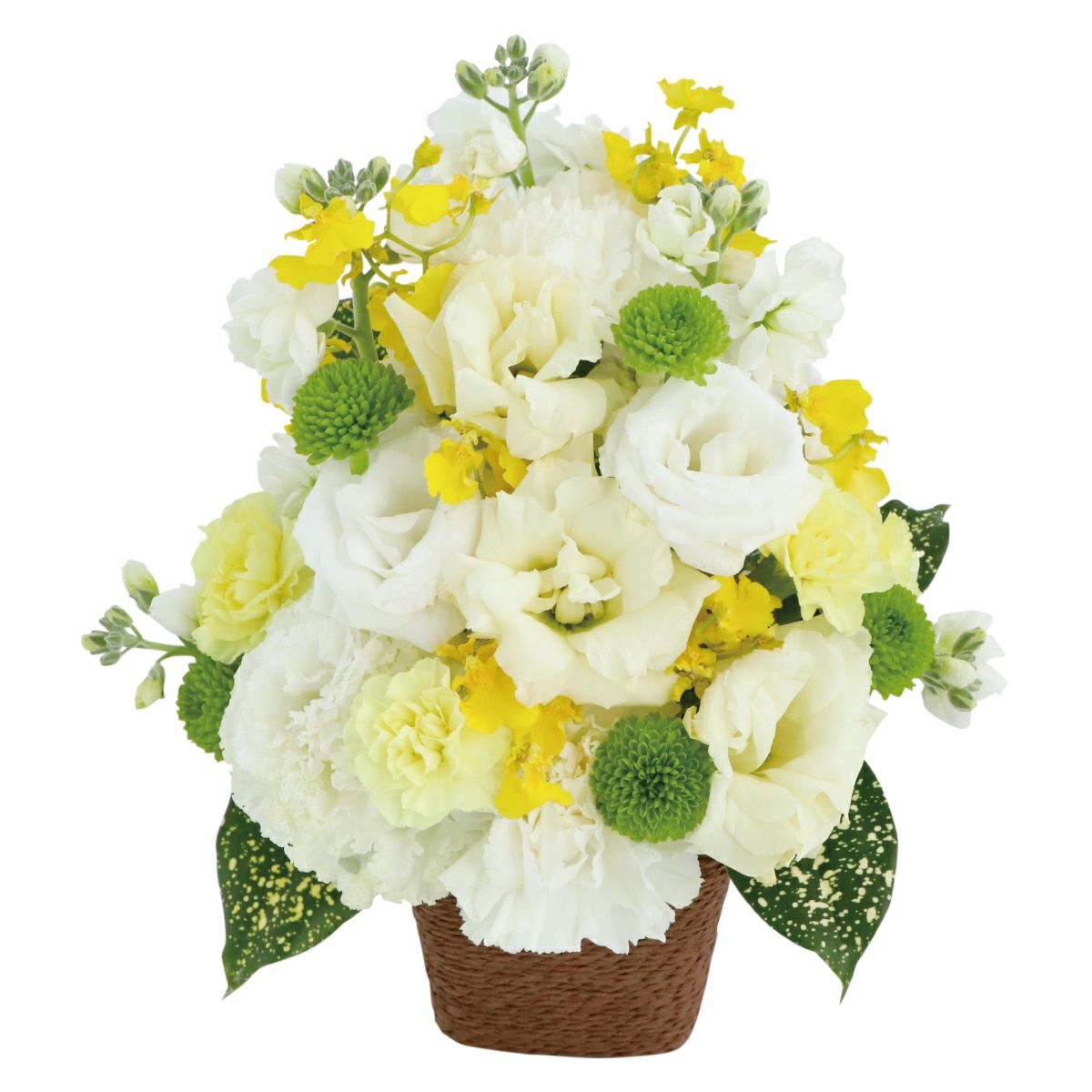 選べる アレンジ or 花束・AA  お供え 生花