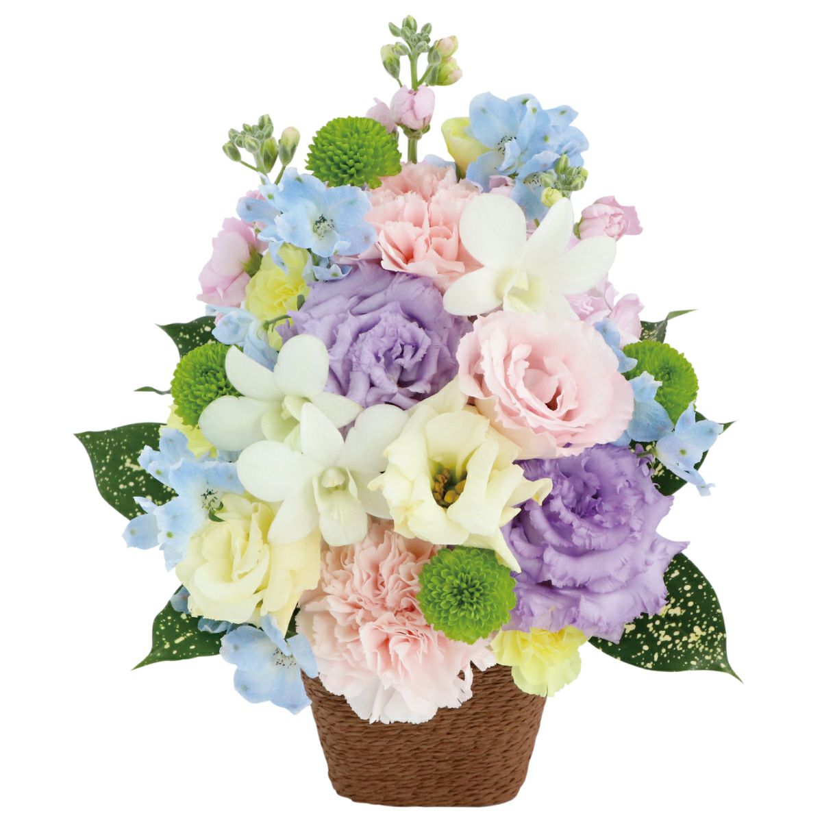 選べる アレンジ or 花束・AA  お供え 生花