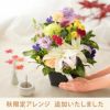 選べる アレンジ or 花束・AB お供え 生花