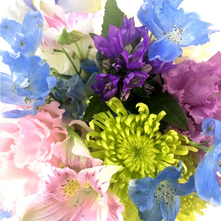 選べる アレンジ or 花束・AB お供え 生花