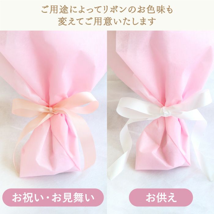 あの人が元気になれそうな花束 ・AB 生花 お供え