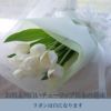 白いチューリップの花束・10本 お供え 生花