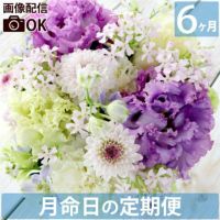 お花の定期便(月命日) 空コース6ヶ月 Sサイズ お供え 生花