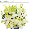 お花の定期便(月命日) 虹コース3ヶ月 Lサイズ お供え 生花