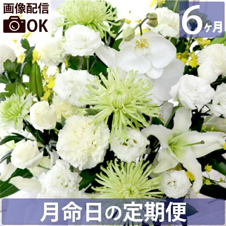 お花の定期便(月命日) 虹コース6ヶ月 Lサイズ お供え 生花